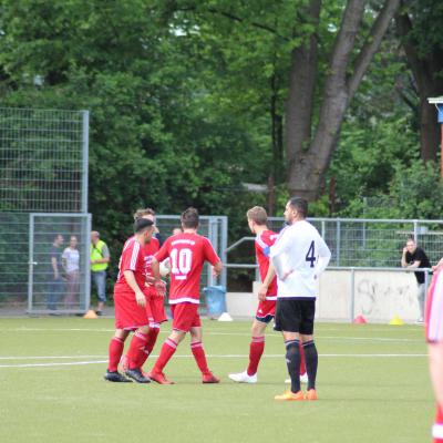 19.05.2019 29. Punktspiel Gegen Fc Dynamo 1 3 Zu 1 Verloren 0010